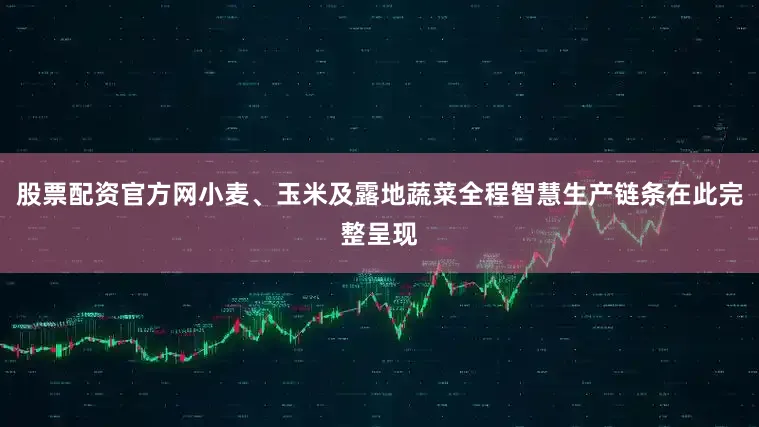 股票配资官方网小麦、玉米及露地蔬菜全程智慧生产链条在此完整呈现